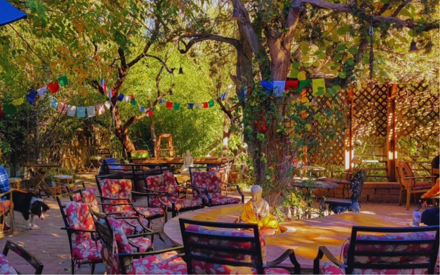 Best Restaurants in Sedona: Where to Eat in Red Rock Country