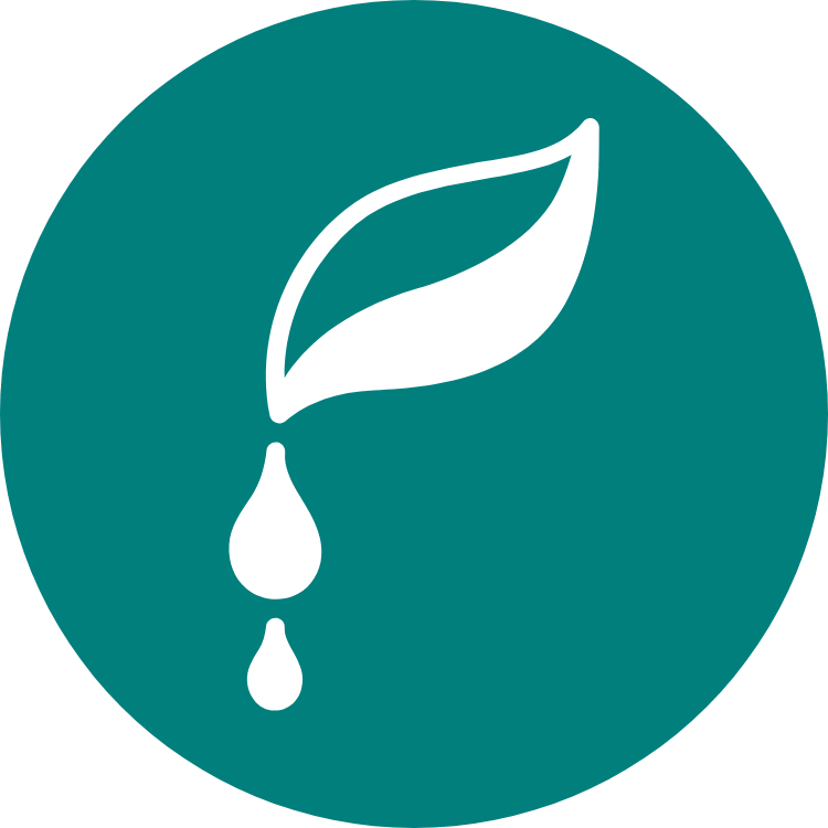 Close-up of a water bottle label featuring a minimalist leaf icon with water droplets, symbolizing purity, nature, and hydration.