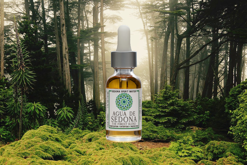 Sedona Spirit Water – The Forest Blend bottle set against a lush forest background, surrounded by greenery and dappled sunlight—evoking themes of grounding, renewal, and the restorative energy of nature.